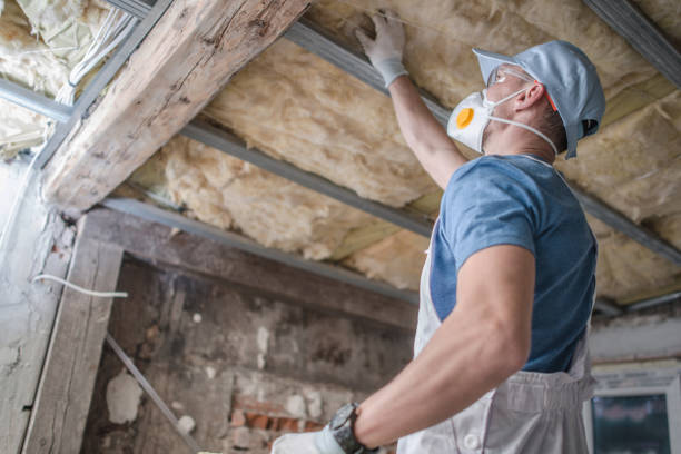 Best Cellulose Insulation in South Boston, VA