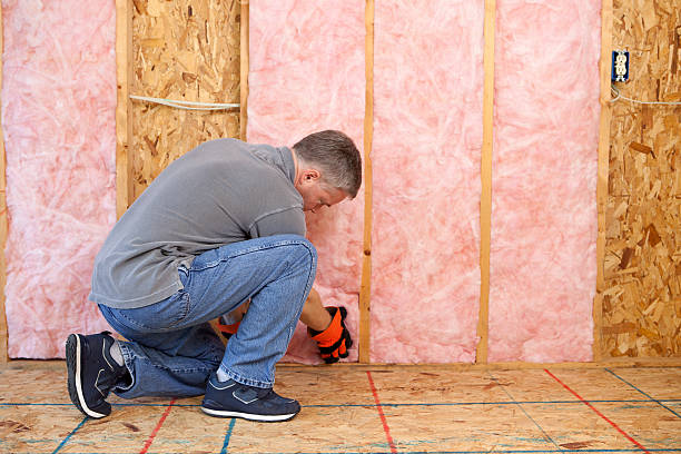 Best DIY Insulation Kits and Guidance in South Boston, VA